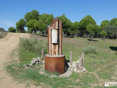 Pinares de Navas del Rey; viaje al pasado la dehesa rio guadiana besaya nacimiento rio sil ribeira s